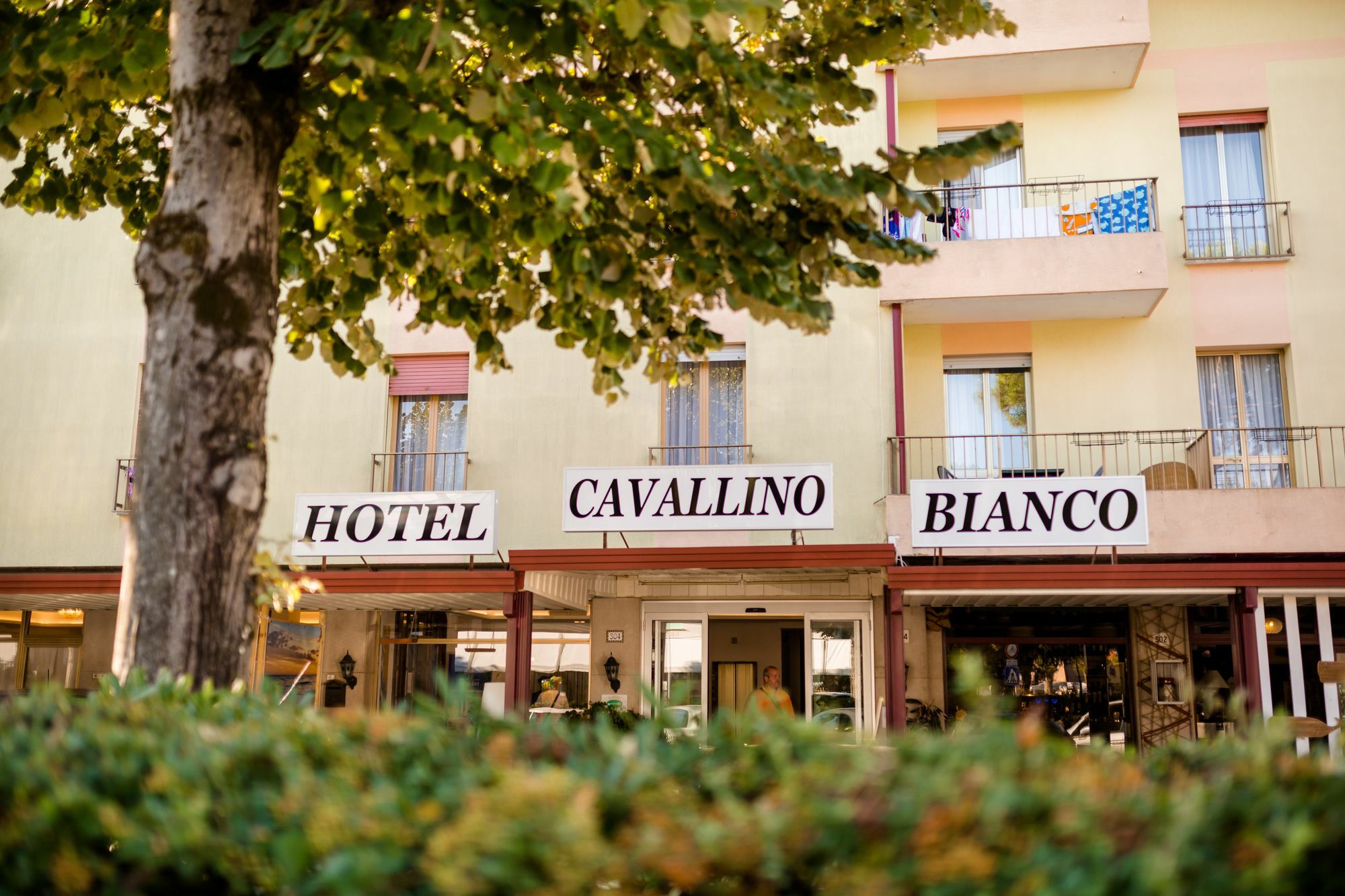 Hotel Cavallino Bianco Eksteriør billede